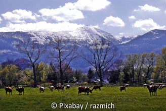 ... in ein Haus, das wir noch nicht kennengelernt haben.